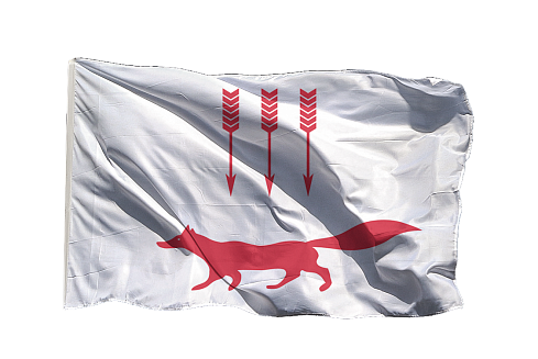 Флаг Саранска